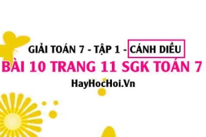 Giải bài 10 trang 11 Toán 7 Tập 1 SGK Cánh Diều